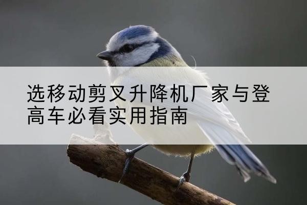 会宁电动升降机厂家-选移动剪叉升降机厂家与登高车必看实用指南