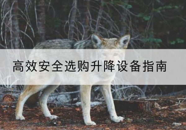 会宁升降货梯厂家推荐-*安全选购升降设备指南