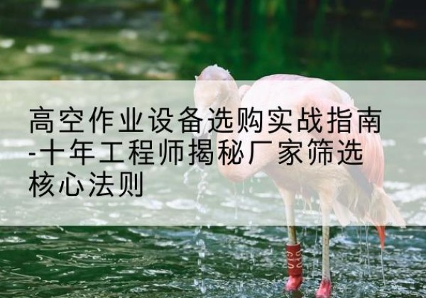 会宁剪叉式升降机厂家-高空作业设备选购实战指南-十年工程师揭秘厂家筛选核心法则